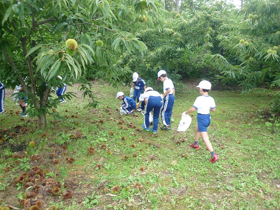 小平小学校見学学習