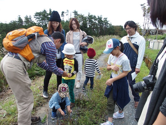 親子で楽しむ 自然観察会