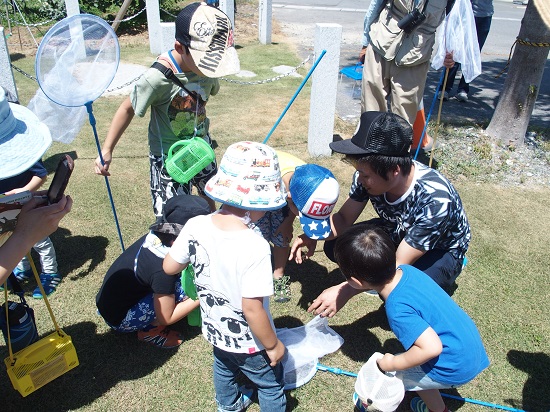 親子で楽しむ自然観察会