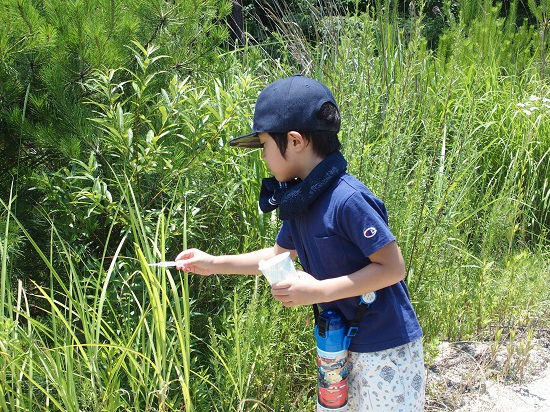 親子で楽しむ自然観察会