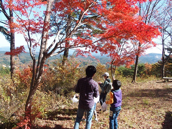 親子で楽しむ自然観察会