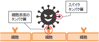 メカニズム