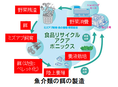 魚介類の餌の製造