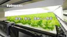 植物工場システム