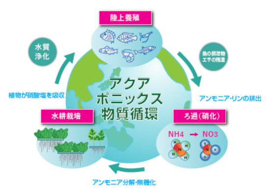 地球生態系をイメージ