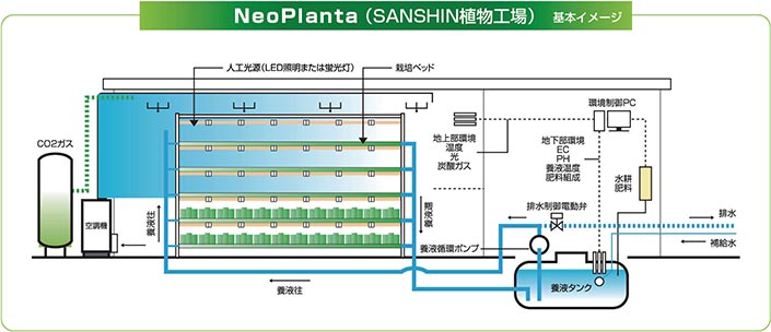 ネオプランタ基本イメージ ネオプランタ基本イメージ
