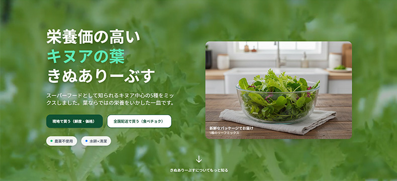 「きぬありーぶす」特設サイト