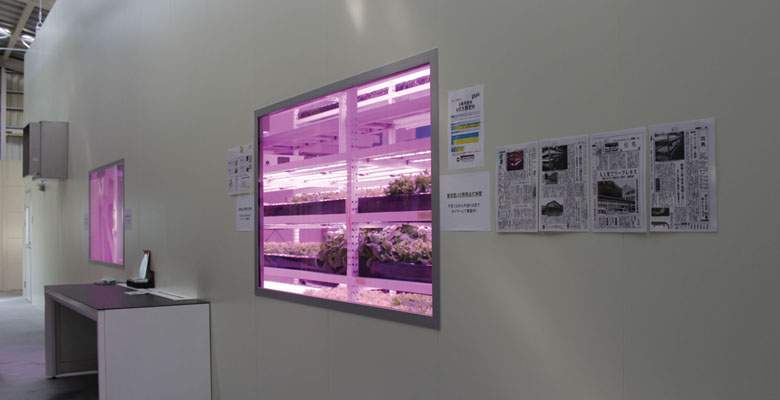 植物工場